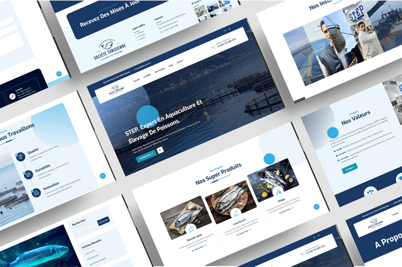 Kais Chalghoumi Portfolio